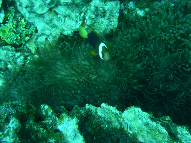 PB040055_1