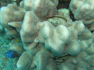 Roll 62 - 7