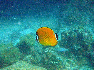 P8070247