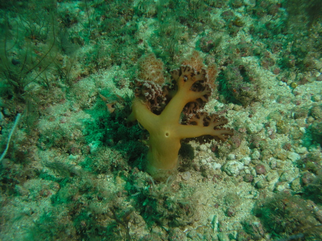 P1060146.JPG