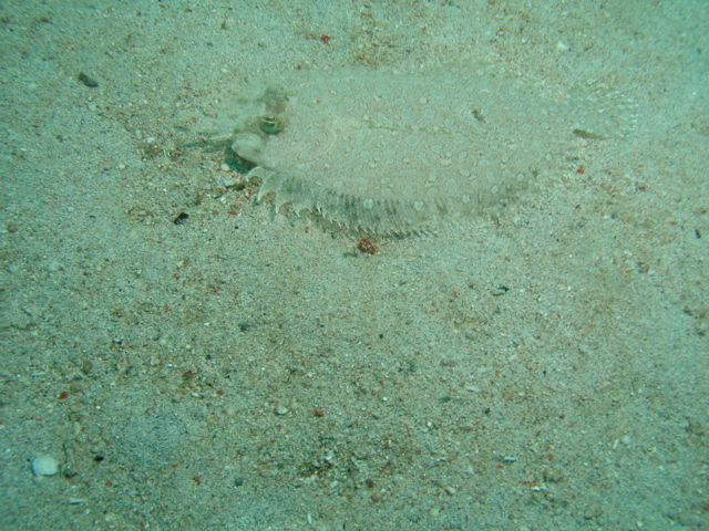 P1050032.JPG