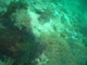 P1060185.JPG
