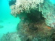 P1060201.JPG