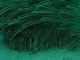 P1050066.JPG
