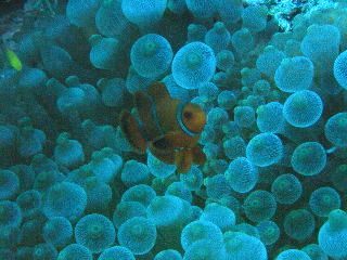 P1060920