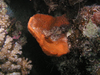 P1010356